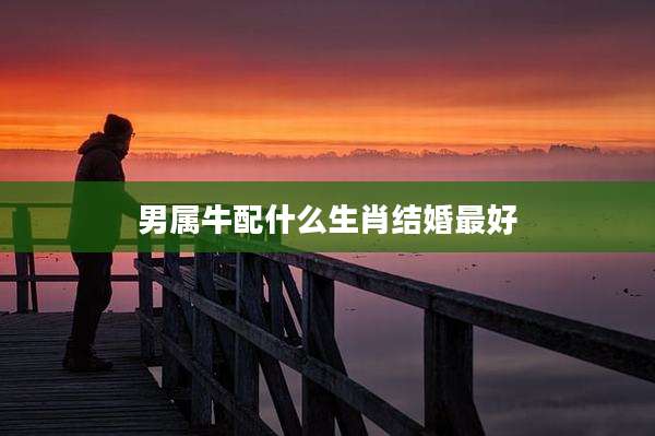 男属牛配什么生肖结婚最好