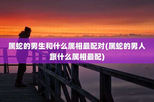 属蛇的男生和什么属相最配对(属蛇的男人跟什么属相最配)