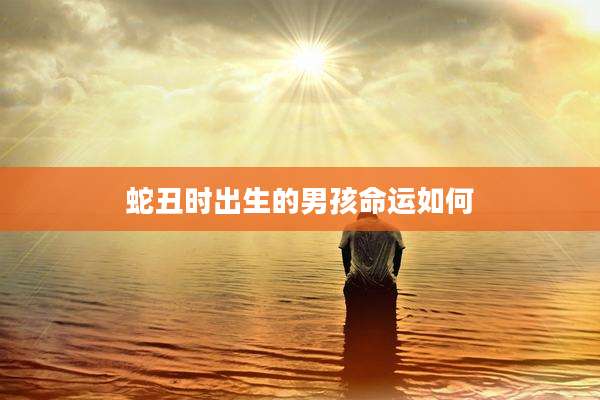 蛇丑时出生的男孩命运如何