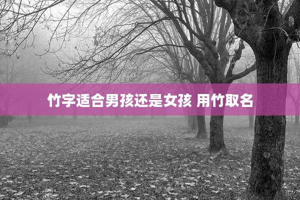 竹字适合男孩还是女孩 用竹取名