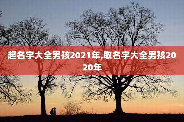 起名字大全男孩2021年,取名字大全男孩2020年
