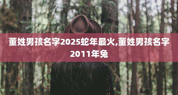 董姓男孩名字2025蛇年最火,董姓男孩名字2011年兔