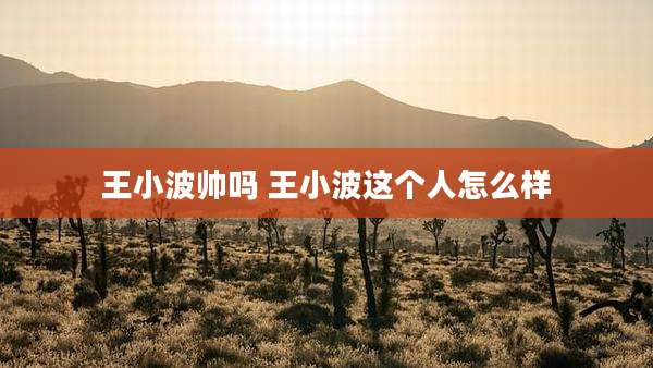 王小波帅吗 王小波这个人怎么样