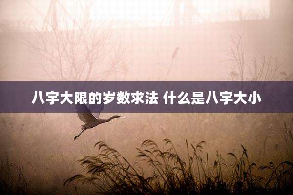 八字大限的岁数求法 什么是八字大小