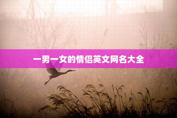 一男一女的情侣英文网名大全