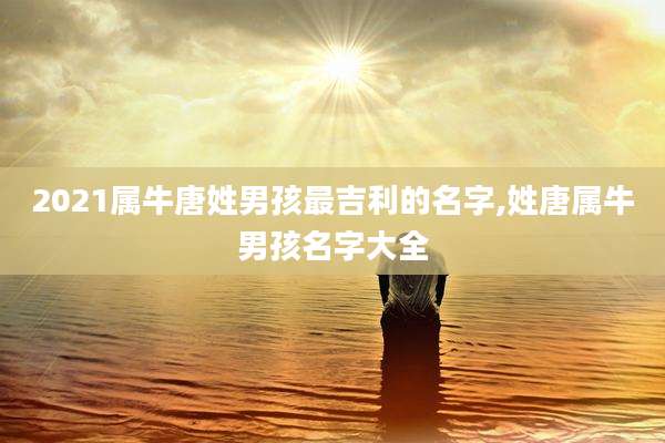 2021属牛唐姓男孩最吉利的名字,姓唐属牛男孩名字大全