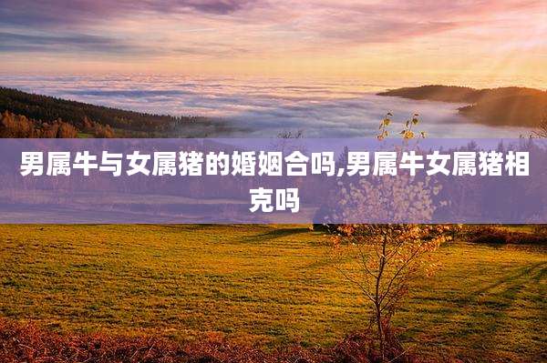 男属牛与女属猪的婚姻合吗,男属牛女属猪相克吗