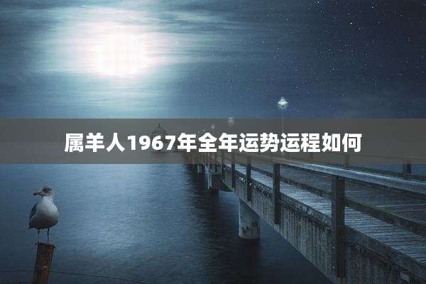 属羊人1967年全年运势运程如何