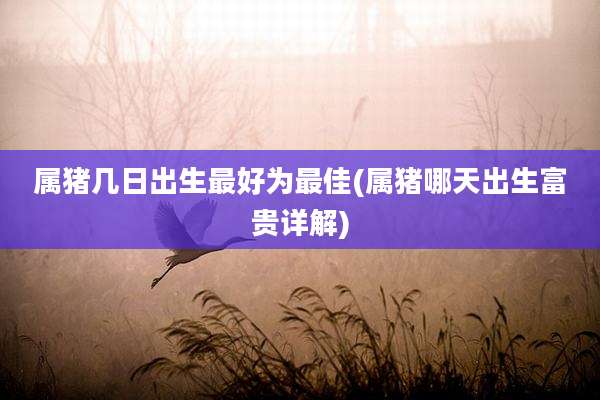 属猪几日出生最好为最佳(属猪哪天出生富贵详解)