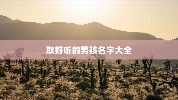 取好听的男孩名字大全