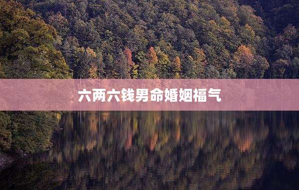 六两六钱男命婚姻福气