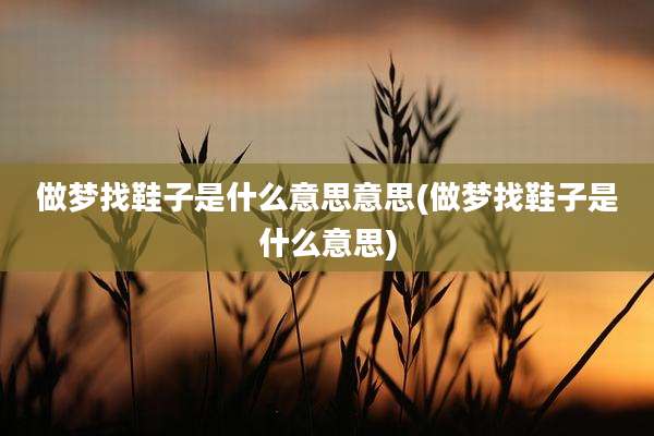 做梦找鞋子是什么意思意思(做梦找鞋子是什么意思)
