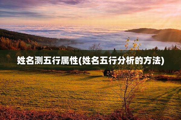 姓名测五行属性(姓名五行分析的方法)