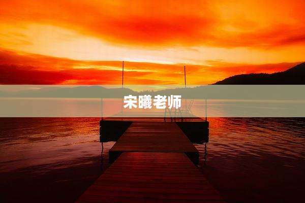 宋曦老师