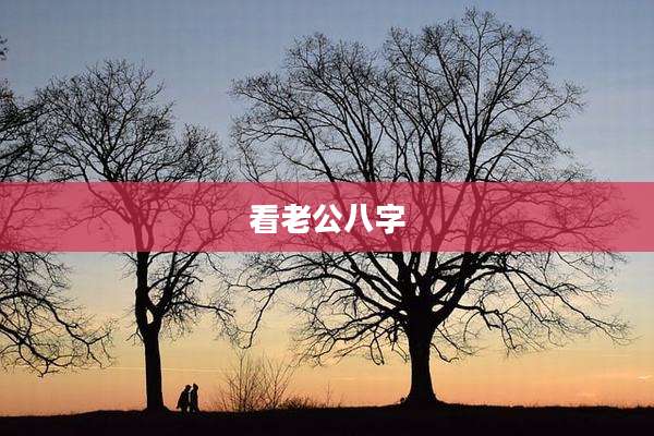 看老公八字
