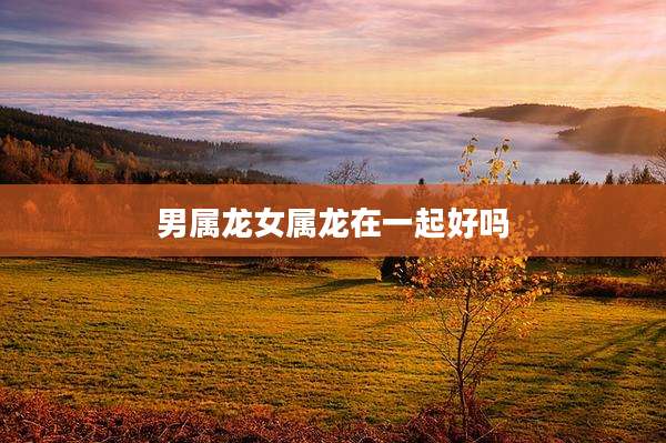 男属龙女属龙在一起好吗