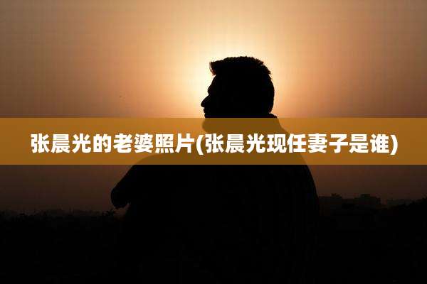 张晨光的老婆照片(张晨光现任妻子是谁)