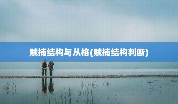 贼捕结构与从格(贼捕结构判断)