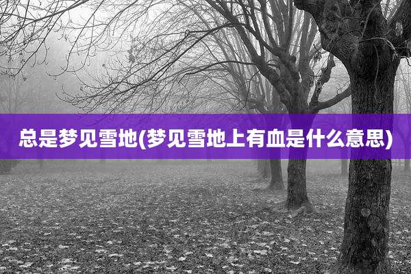 总是梦见雪地(梦见雪地上有血是什么意思)