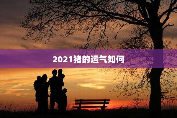 2021猪的运气如何