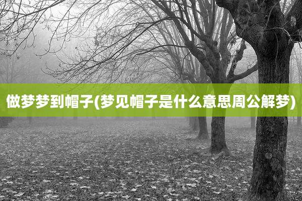 做梦梦到帽子(梦见帽子是什么意思周公解梦)