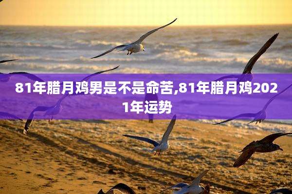 81年腊月鸡男是不是命苦,81年腊月鸡2021年运势