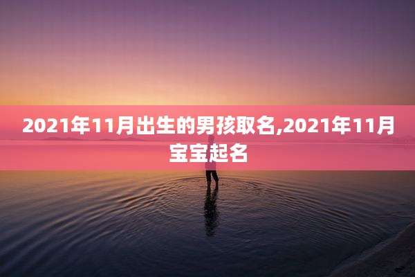 2021年11月出生的男孩取名,2021年11月宝宝起名