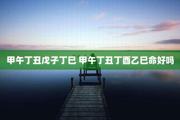 甲午丁丑戊子丁巳 甲午丁丑丁酉乙巳命好吗