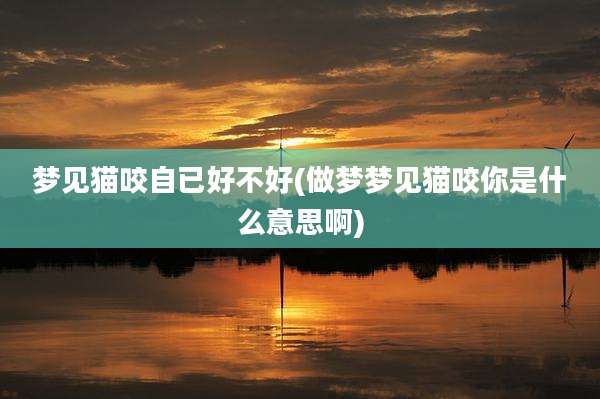 梦见猫咬自已好不好(做梦梦见猫咬你是什么意思啊)