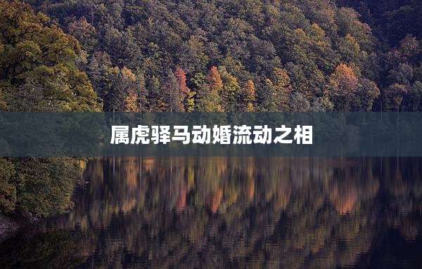 属虎驿马动婚流动之相