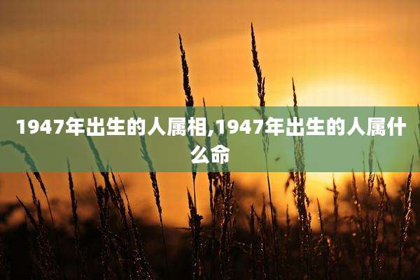 1947年出生的人属相,1947年出生的人属什么命