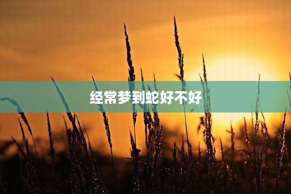 经常梦到蛇好不好
