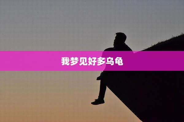 我梦见好多乌龟