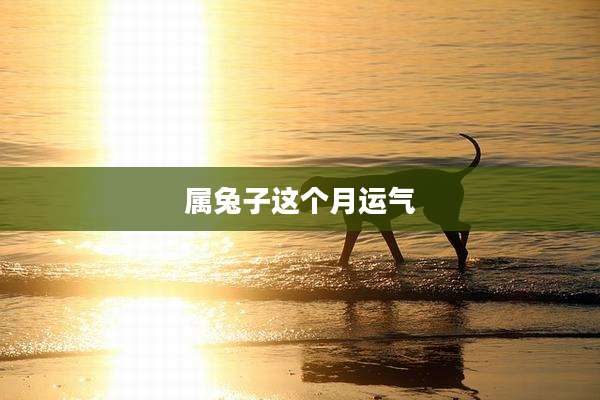 属兔子这个月运气