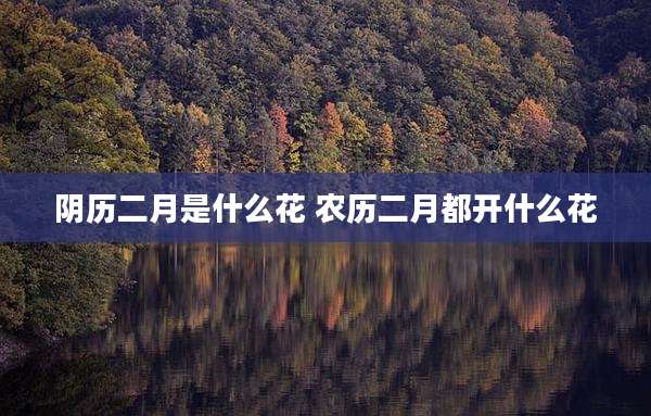 阴历二月是什么花 农历二月都开什么花