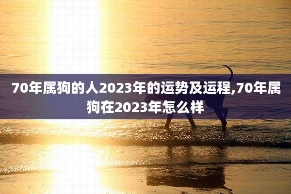 70年属狗的人2023年的运势及运程,70年属狗在2023年怎么样