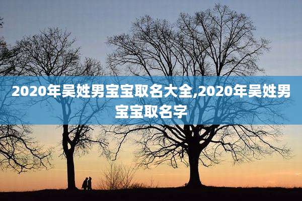 2020年吴姓男宝宝取名大全,2020年吴姓男宝宝取名字