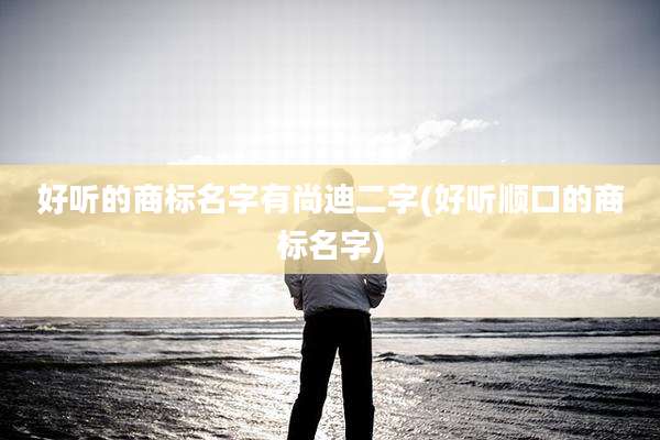 好听的商标名字有尚迪二字(好听顺口的商标名字)