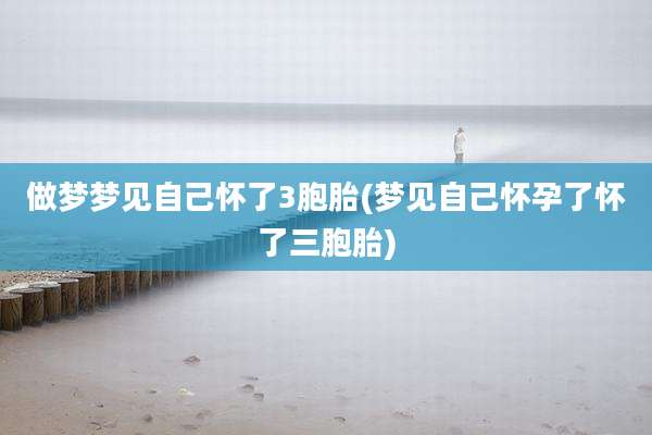 做梦梦见自己怀了3胞胎(梦见自己怀孕了怀了三胞胎)