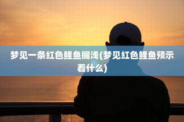 梦见一条红色鲤鱼搁浅(梦见红色鲤鱼预示着什么)
