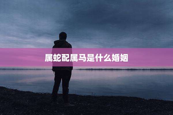 属蛇配属马是什么婚姻