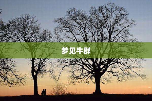 梦见牛群