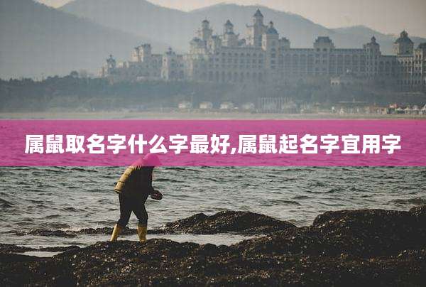 属鼠取名字什么字最好,属鼠起名字宜用字