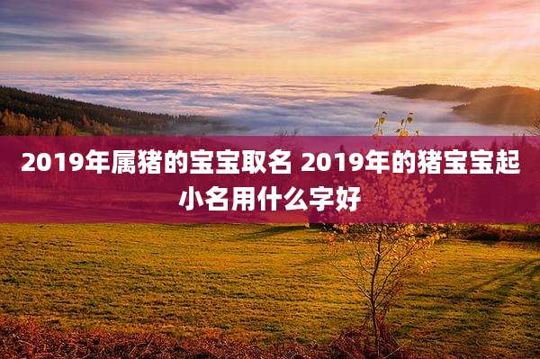 2019年属猪的宝宝取名 2019年的猪宝宝起小名用什么字好