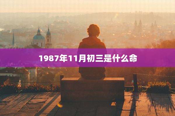 1987年11月初三是什么命