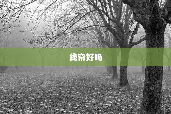 线帘好吗