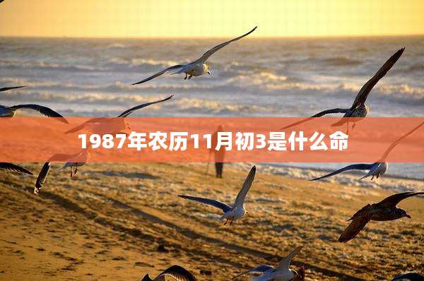 1987年农历11月初3是什么命