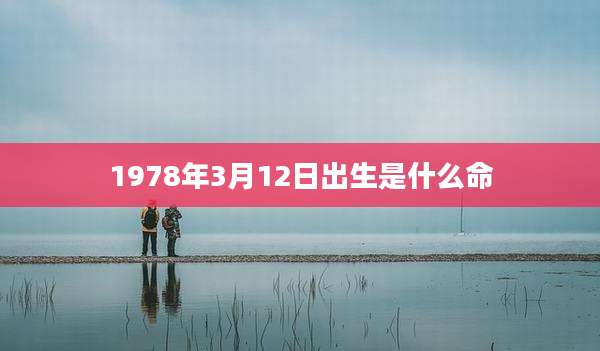 1978年3月12日出生是什么命
