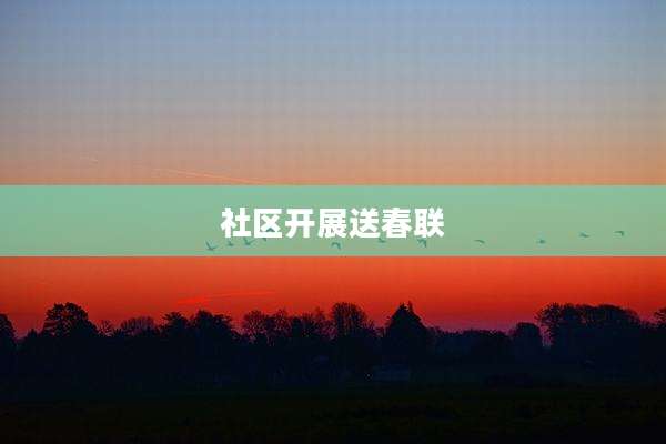 社区开展送春联