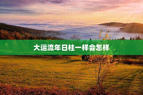 大运流年日柱一样会怎样